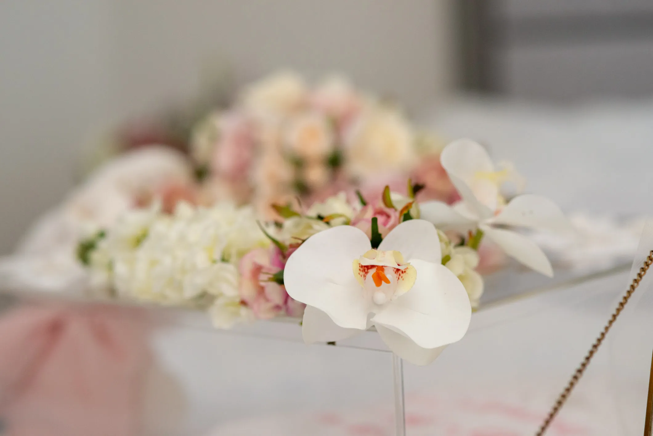 Audrey — Events photography, image 6