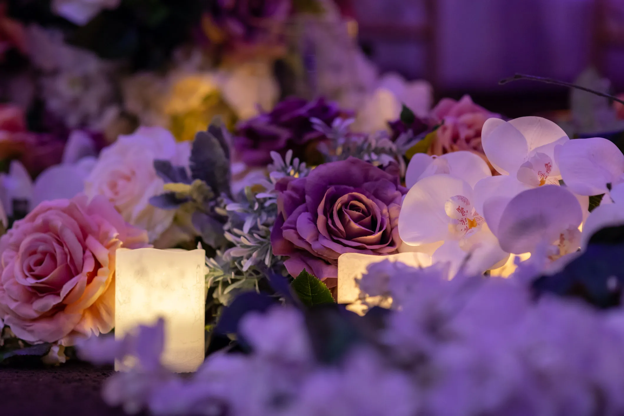 Audrey — Events photography, image 26