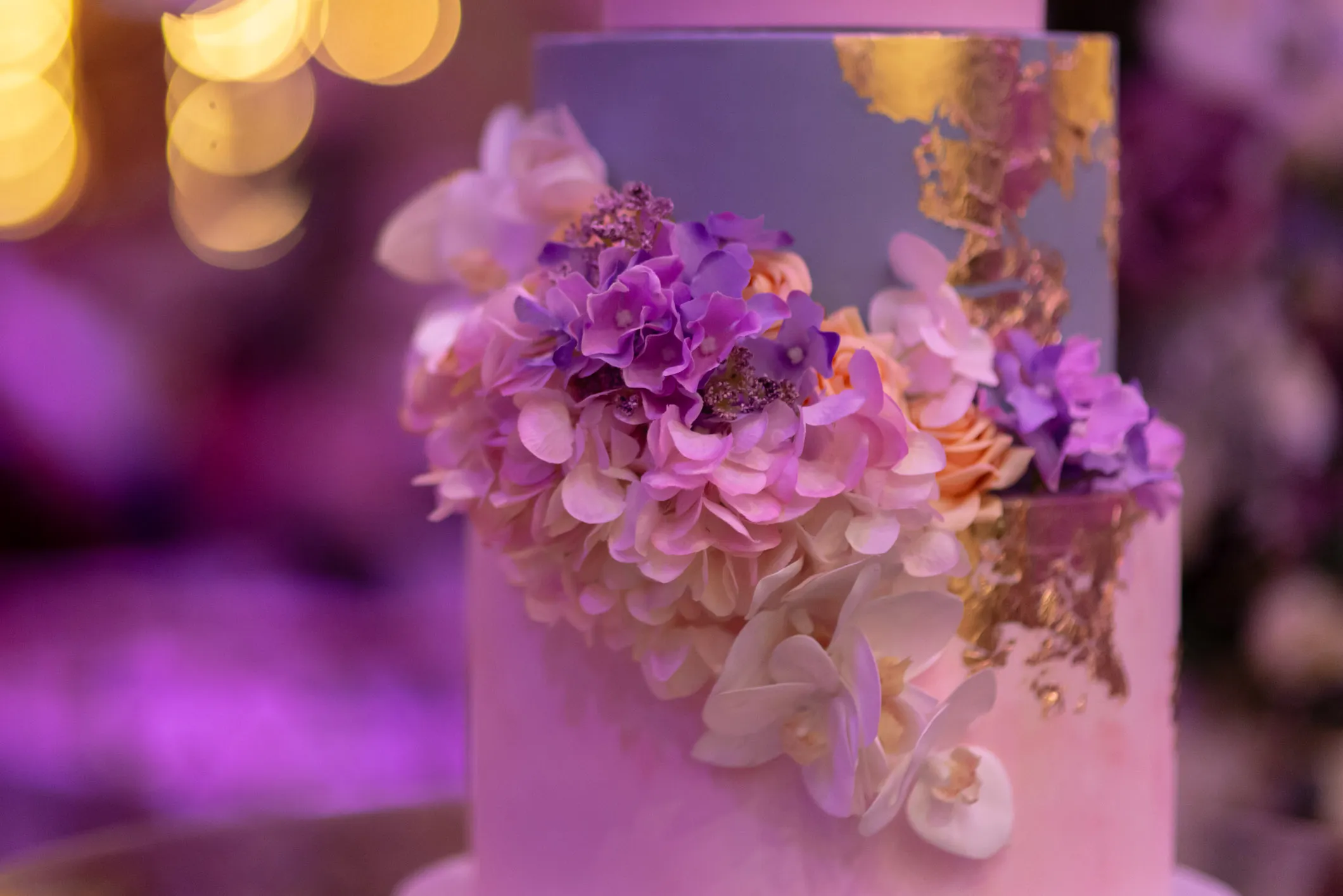 Audrey — Events photography, image 33