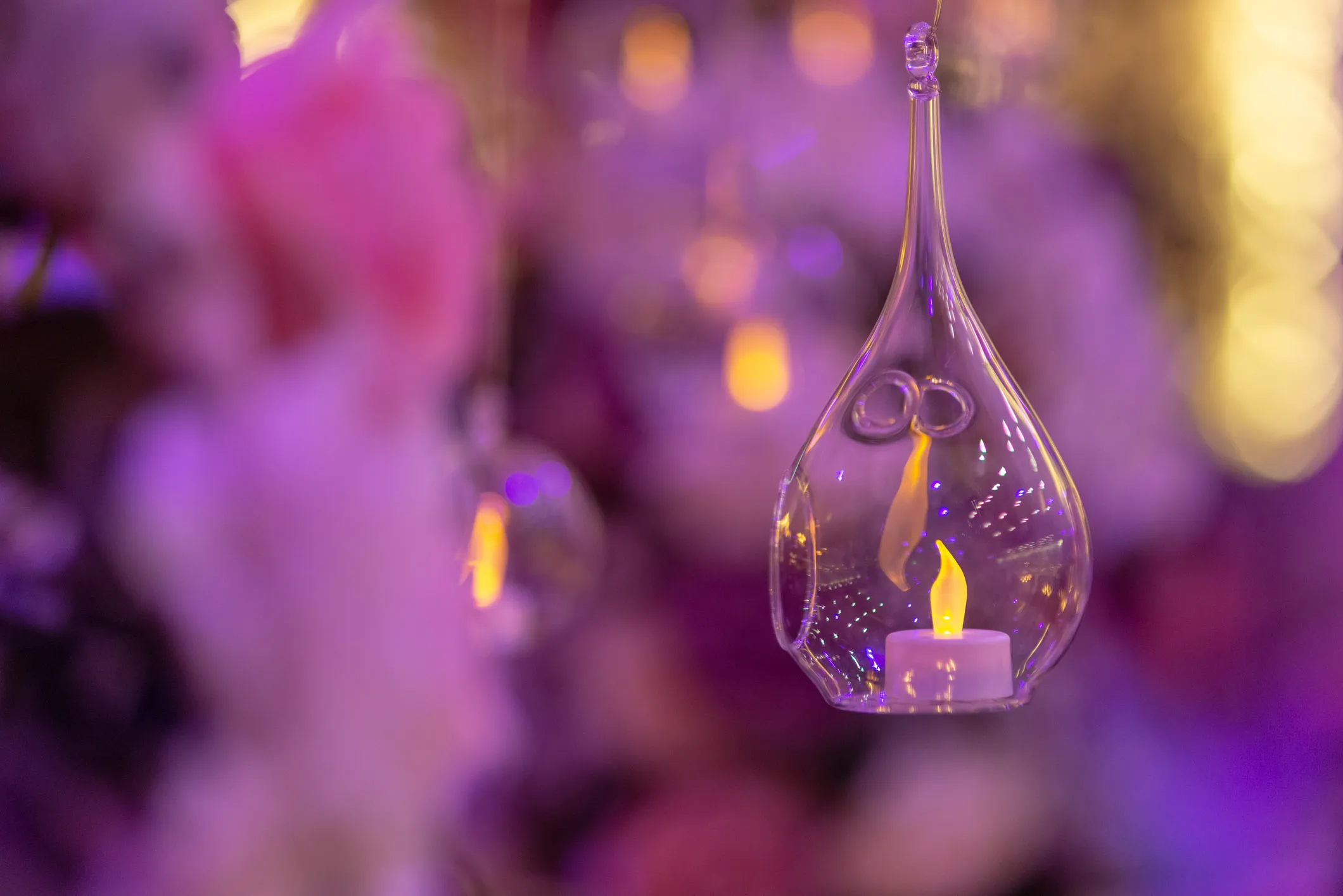 Audrey — Events photography, image 35