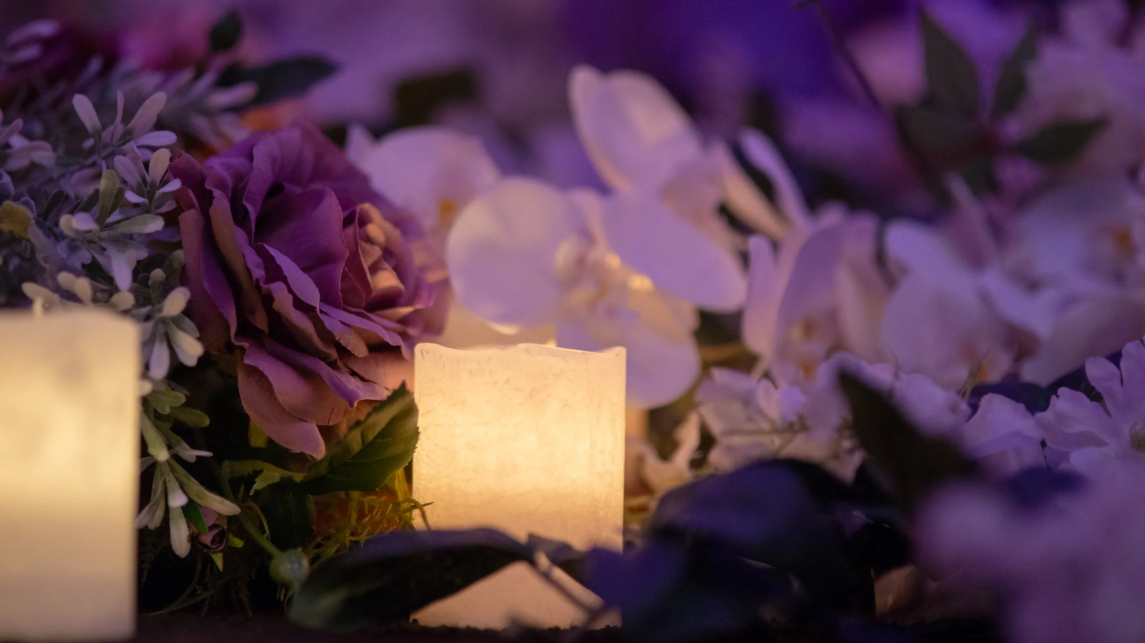 Audrey — Events photography, image 37